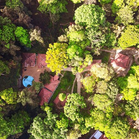 Qexperiences Coorg Hotell Madikeri Eksteriør bilde